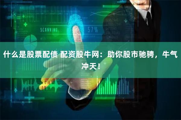 什么是股票配债 配资股牛网：助你股市驰骋，牛气冲天！
